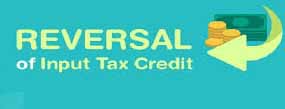 Operational immovability of the integrated plant does not disentitle the appellant from credit on the constituent capital goods. Rule 4(3) does not restrict credit to financing-company lessors.